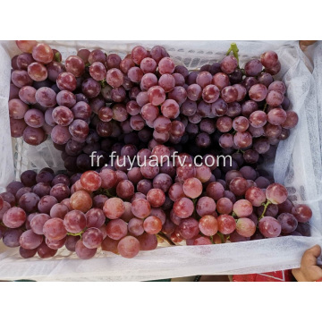 Yunnan: baisse des prix du raisin